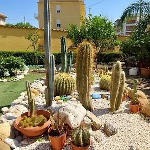 Il Giardino Di Piero , San Leone Italia